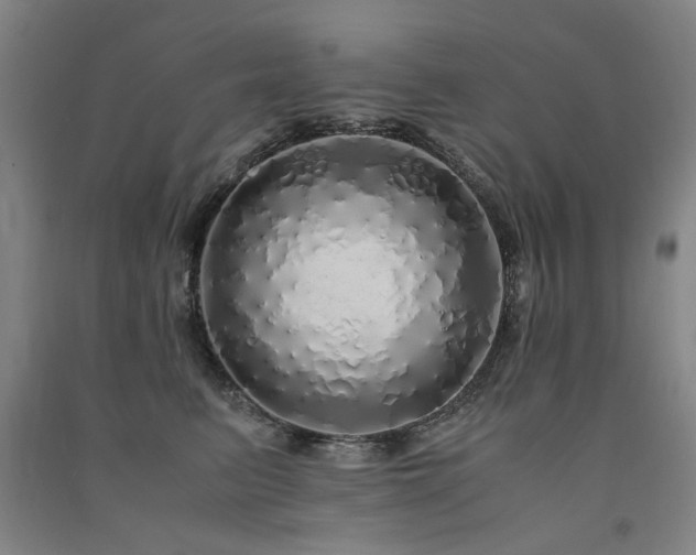 X0000091490615200708161440