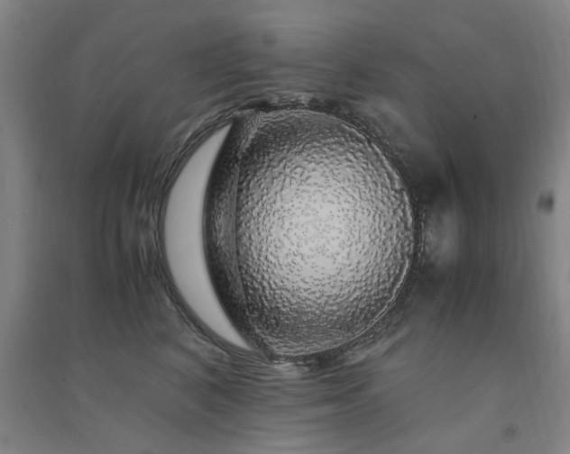 X0000091490616200708161440