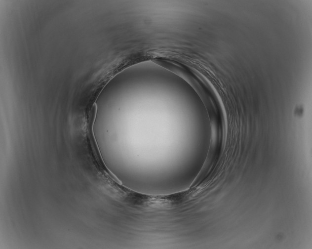 X0000091490617200708161440