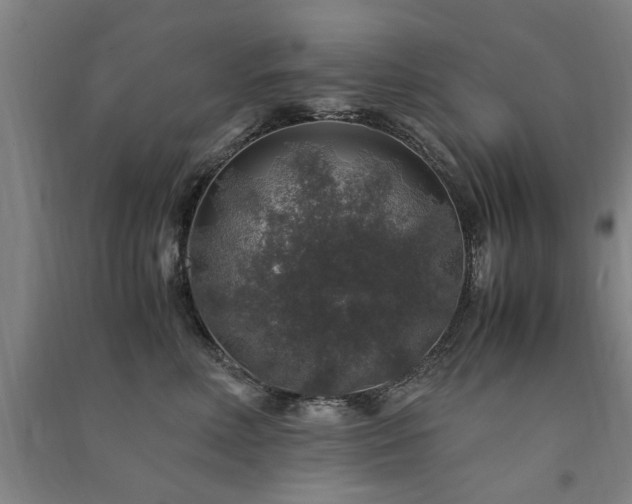 X0000091490618200708161440