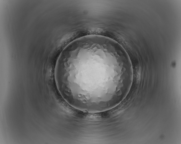 X0000091490619200708161440