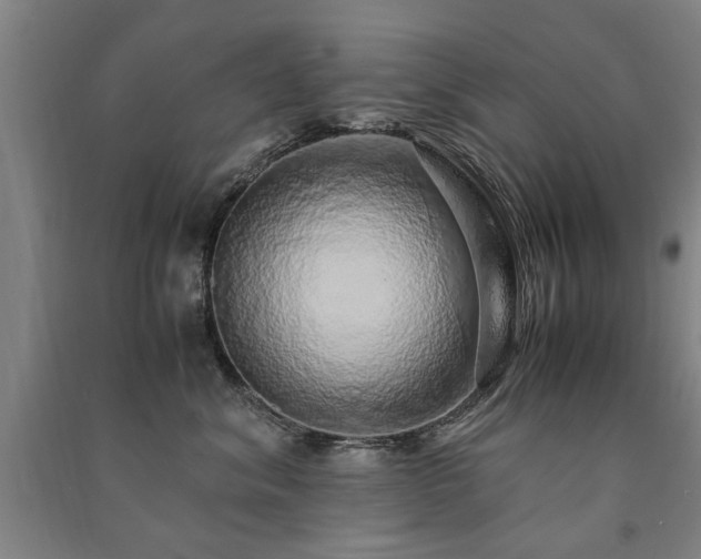 X0000091490620200708161440