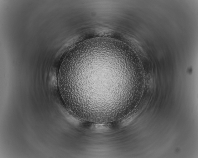 X0000091490622200708161440