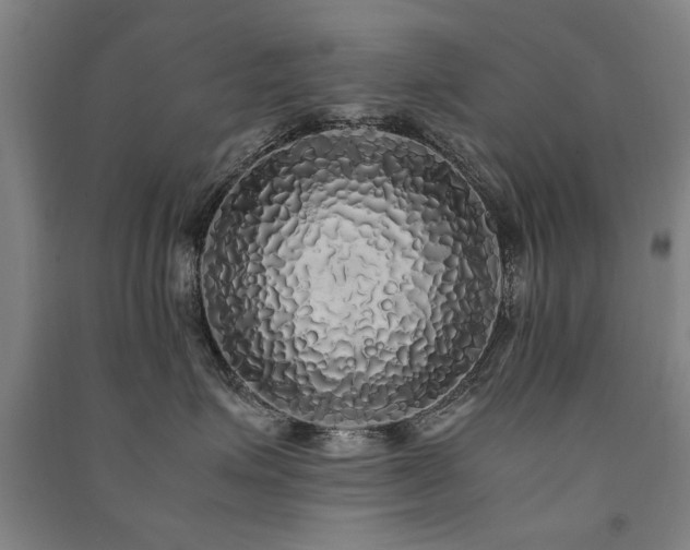 X0000091490623200708161440