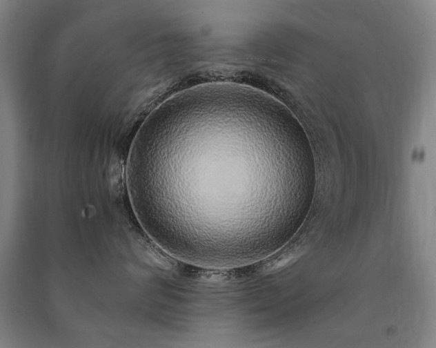 X0000091490624200708161440