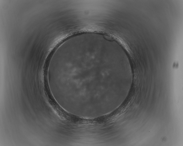 X0000091490626200708161439