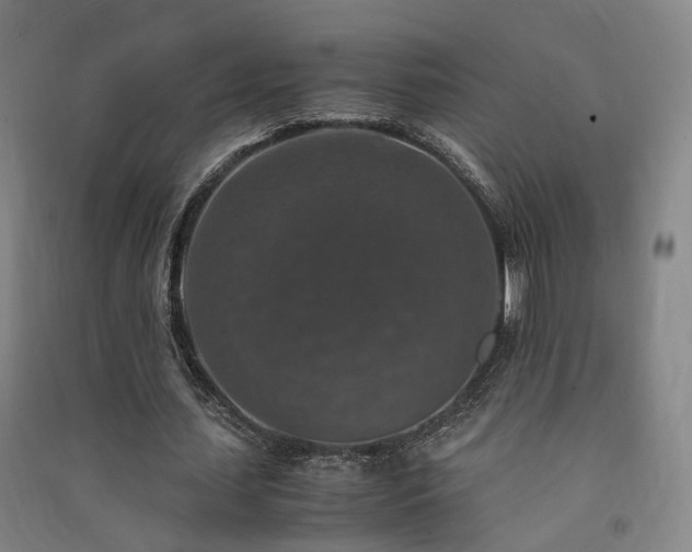 X0000091490627200708161439