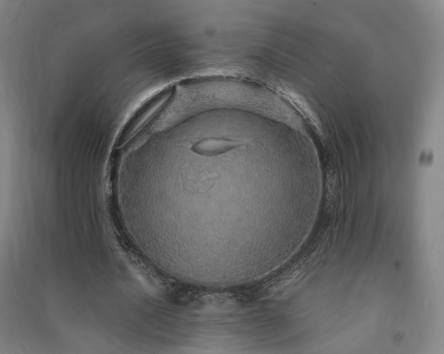 X0000091490628200708161439