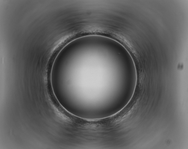X0000091490629200708161439