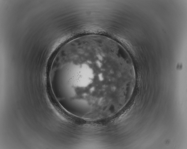 X0000091490630200708161439