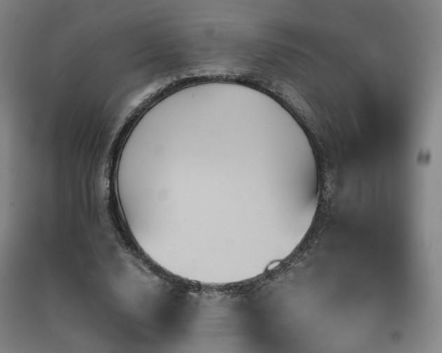 X0000091490632200708161439