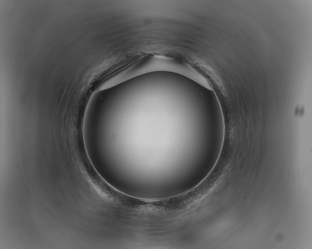 X0000091490633200708161439