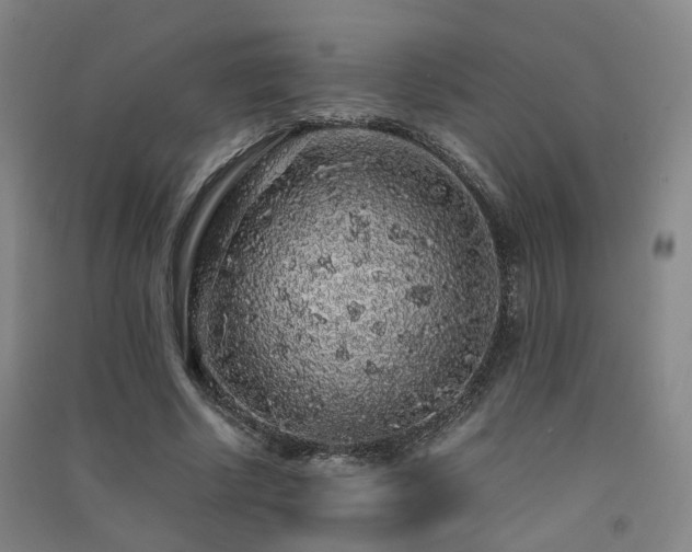 X0000091490634200708161439