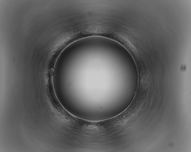 X0000091490635200708161439