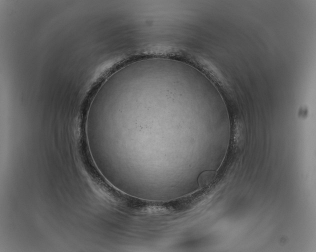 X0000091490636200708161439