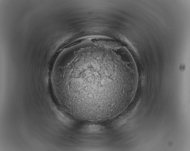 X0000091490637200708161439