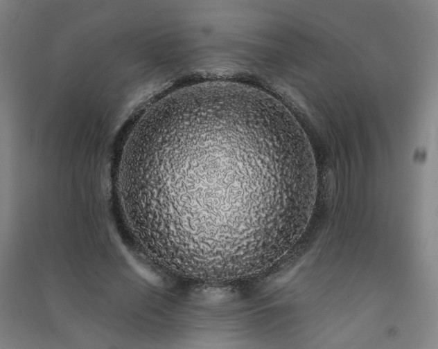X0000091490638200708161439