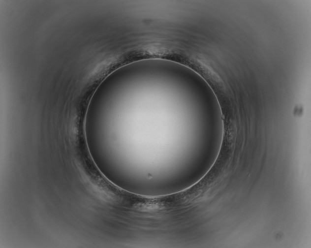 X0000091490639200708161439