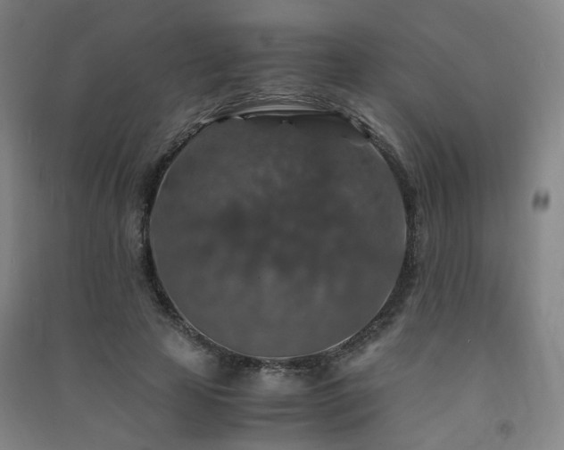X0000091490641200708161439