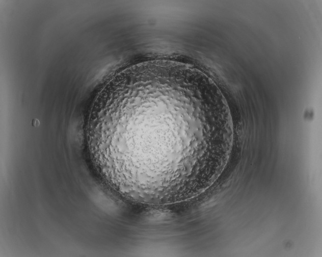 X0000091490642200708161439