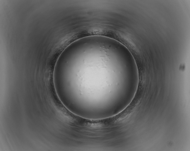 X0000091490645200708161439