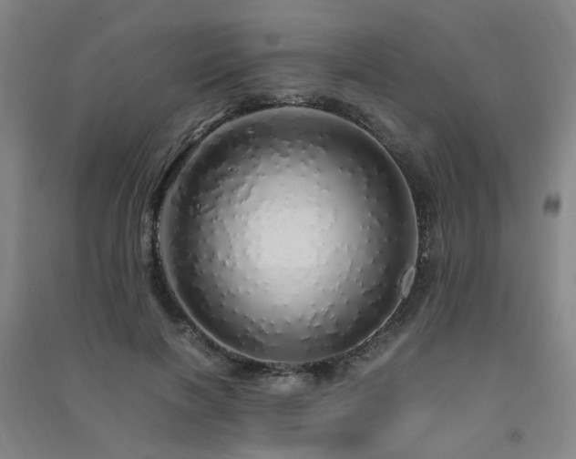 X0000091490646200708161439