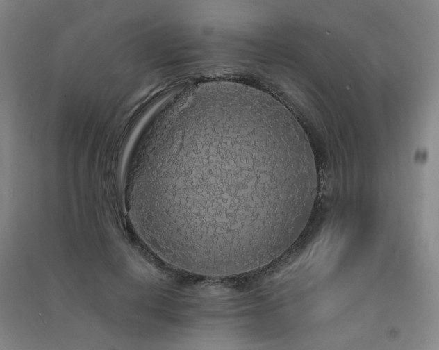 X0000091490648200708161439