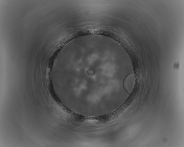 X0000091490650200708161439