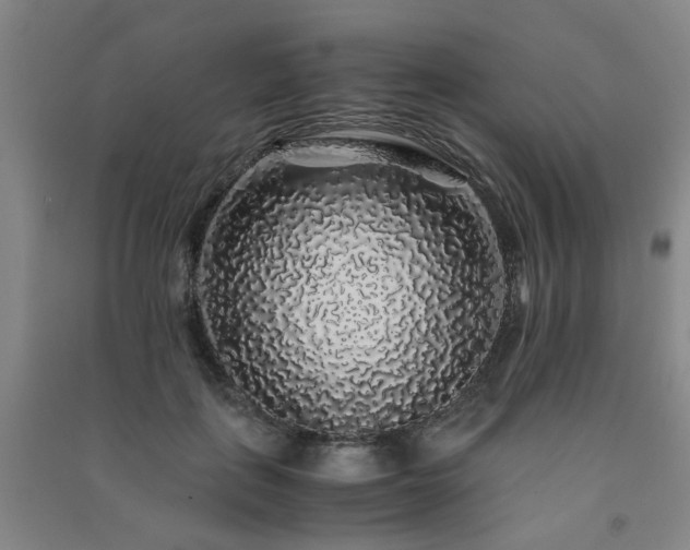 X0000091490651200708161439