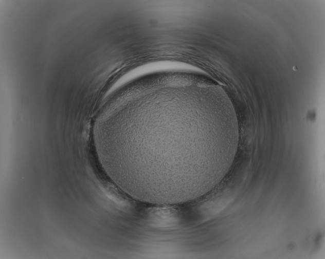 X0000091490652200708161439
