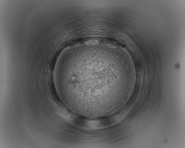 X0000091490653200708161439