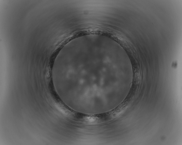X0000091490654200708161439
