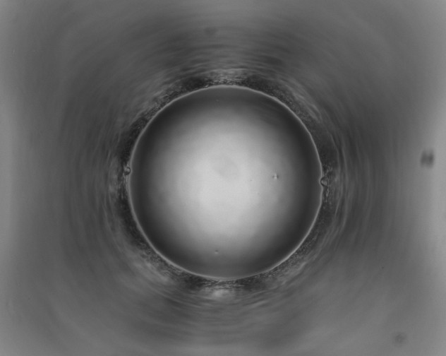 X0000091490655200708161439