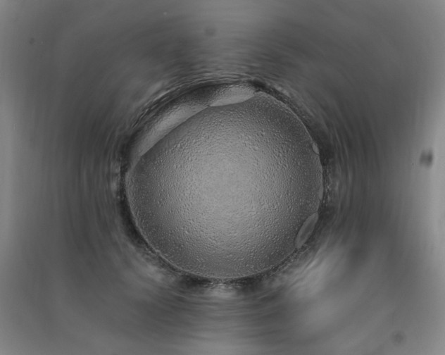 X0000091490656200708161439