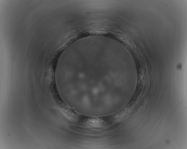 X0000091490659200708161440