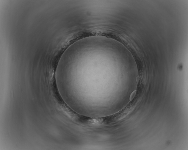 X0000091490660200708161440