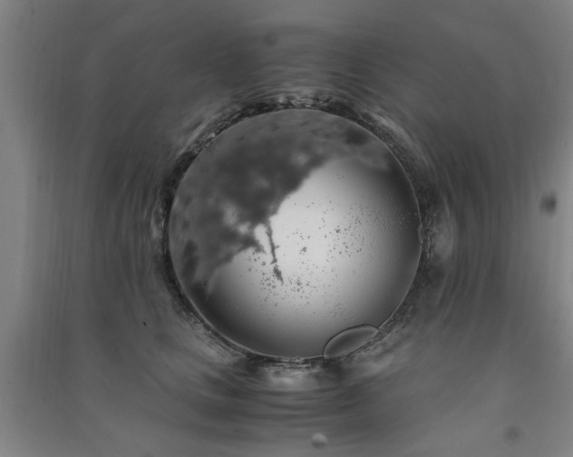 X0000091490661200708161440
