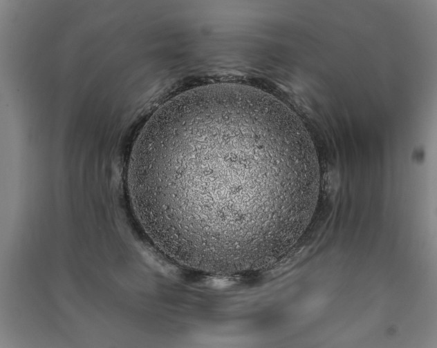 X0000091490662200708161440