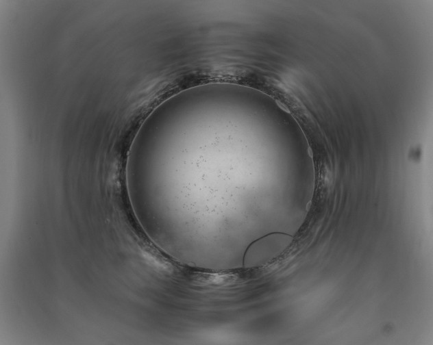 X0000091490663200708161440
