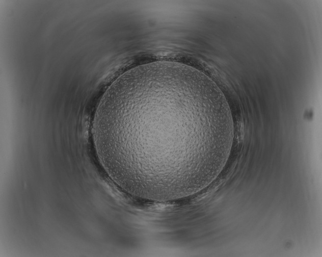 X0000091490664200708161440