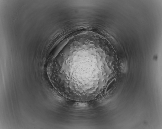 X0000091490665200708161440