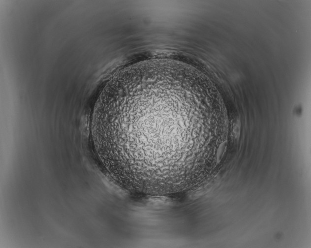 X0000091490666200708161440