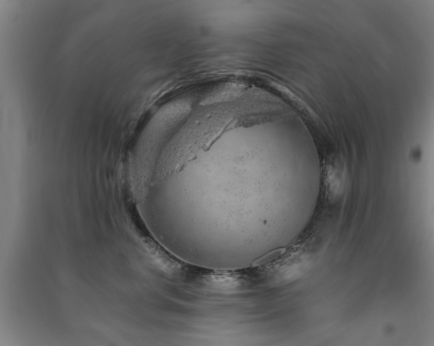 X0000091490668200708161440