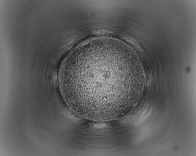X0000091490669200708161440