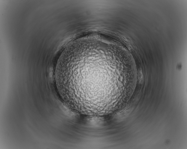 X0000091490670200708161440