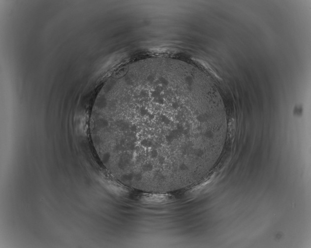 X0000091490671200708161440