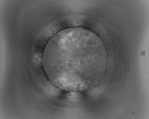X0000091490672200708161440