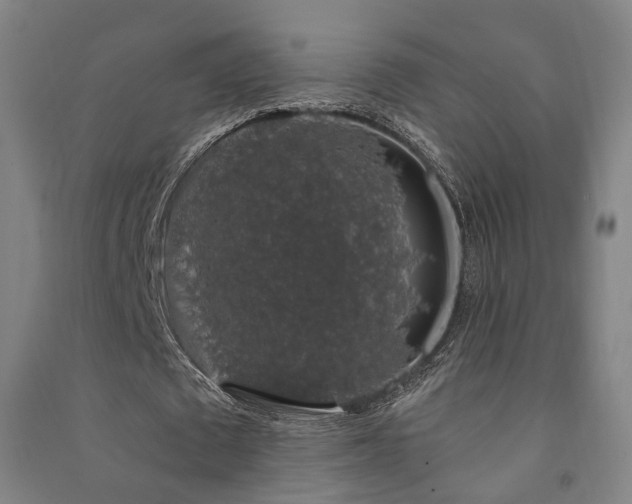 X0000091490673200708161439
