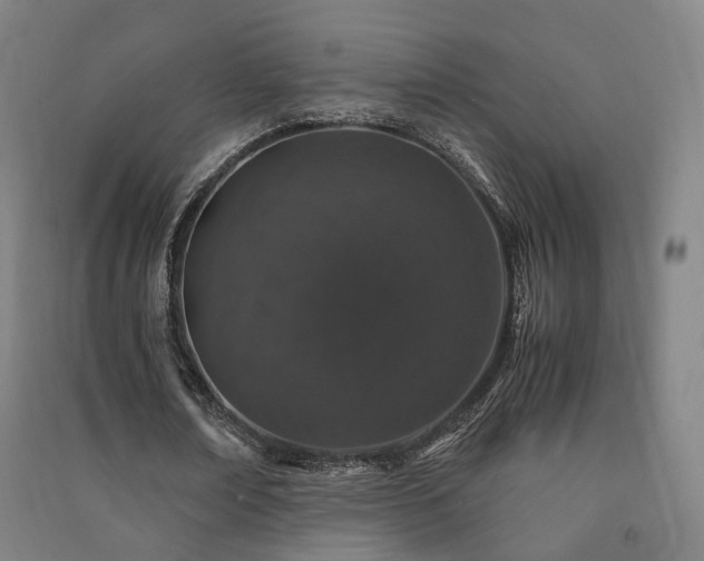 X0000091490674200708161439