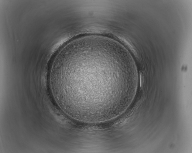 X0000091490675200708161439